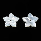 Natural White Shell Beads&nbsp;SSHEL-N027-131A-01-3