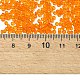 ガラスシードビーズ  トランスペアレント  ラウンド  オレンジ  12/0  2mm  穴：1mm  約2000粒/30g&nbsp;X2-SEED-A004-2mm-9-4