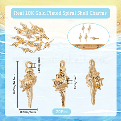 真鍮製ペンダント20個  巻き貝  18KGP本金メッキ  16.5x6x5mm  穴：1mm&nbsp;KK-BBC0010-81