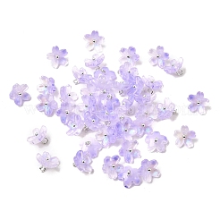 Glass Charms&nbsp;GLAA-G127-05