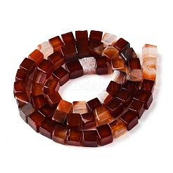 天然赤瑪瑙（染色・加熱）ビーズ連売り  キューブ  6~7x6~6.5x6~6.5mm  穴：1mm  約60~61個/連  15~15.366''（38.1~39センチメートル）&nbsp;G-T139-6x6-35A