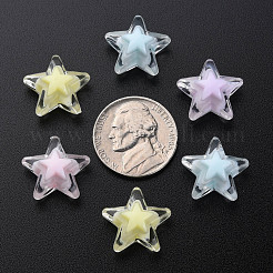 透明なアクリルビーズ  二層ビーズ  スター  ミックスカラー  15.5x16x9.5mm  穴：3mm  約569個/500g&nbsp;TACR-S152-11A