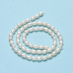 Natural Cultured Freshwater Pearl Beads Strands&nbsp;PEAR-J006-14C-01-X