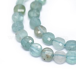 Natural Apatite Beads Strands&nbsp;G-I249-A09