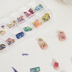 1 Set 12 Colors Shell Slices&nbsp;MRMJ-SP0001-05A