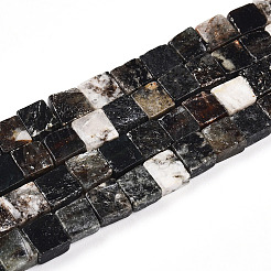 Natural Biotite Beads Strands&nbsp;G-N346-05A-01