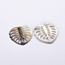 ブラックリップシェルペンダント  トロピカルリーフチャーム  モンステラ葉  31~33x29~31x2.5mm  穴：1mm&nbsp;SSHEL-E549-07