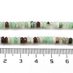 Natural Chrysoprase Beads Strands&nbsp;G-B088-A01-01