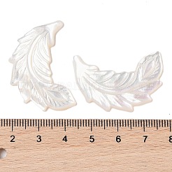 天然ホワイトシェル彫刻カボション  羽  貝殻色  34x22x2mm&nbsp;SSHEL-C012-03