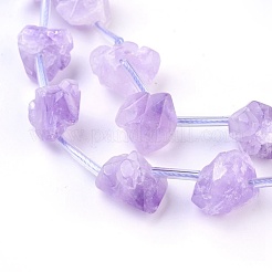 Natural Amethyst Beads Strands&nbsp;G-I250-03C