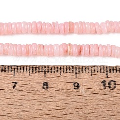 Natural Freshwater Shell Beads Strands&nbsp;SHEL-Q028-01D