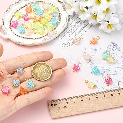 40Pcs 4 Styles Transparent Resin Connector Charms&nbsp;PALLOY-YW00174