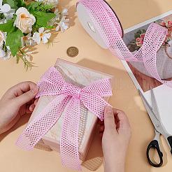 Polyester Hollow Grid Ribbons&nbsp;OCOR-WH0105-107B