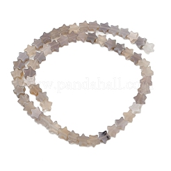 Natural Grey Agate Beads Strands&nbsp;G-U021-B01-02