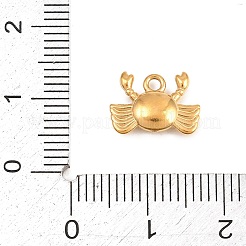 304 Stainless Steel Charms&nbsp;STAS-E522-01G
