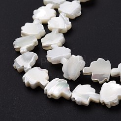 Natural Trochid Shell Beads Strands&nbsp;SSHEL-G023-09B