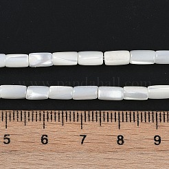 天然淡水シェルビーズ連売り  コラム  貝殻色  6~6.5x3.5mm  穴：0.7mm  約61~63個/連  15.83''（40.2センチメートル）&nbsp;BSHE-H109-16