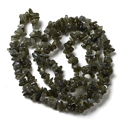 天然石ラブラドライトビーズ連売り  チップ  5~11x4~7x1~5mm  穴：1mm  80~81cm&nbsp;G-F771-B01-01