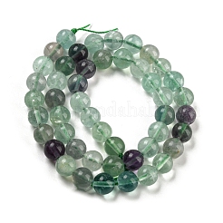 Natural Rainbow Fluorite Bead Strands&nbsp;G-P255-01-8mm