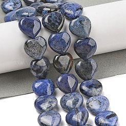 Natural Dumortierite Beads Strands&nbsp;G-H005-C15-02