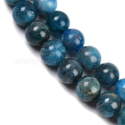 天然石アパタイトビーズ連売り  グレードAB  ラウンド  10mm  穴：1.2mm  約38個/連  14.9インチ（38cm）&nbsp;G-I254-08D