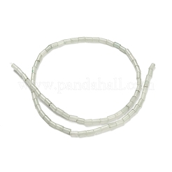 Dyed Natural White Jade Beads Strands&nbsp;G-P600-B07-01B