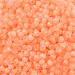 6/0 Imitation Jade Glass Seed Beads&nbsp;SEED-T006-04A-06