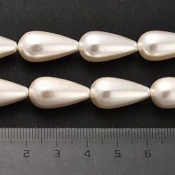 Electroplate Shell Pearl Beads Strands&nbsp;BSHE-G010-10x20mm-01