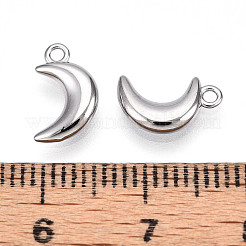 304 Stainless Steel Charms&nbsp;STAS-N109-138P