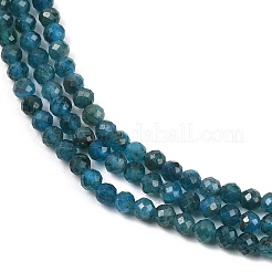 Natural Apatite Beads Strands&nbsp;X-G-E411-36-3mm-02