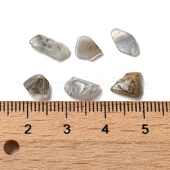 天然石ラブラドライトビーズ  穴がないビーズ  チップビーズ  4.5~10.5x3~7mm&nbsp;G-O103-33