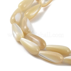 Natural Trochus Shell Beads&nbsp;PEAR-B002-01A-B