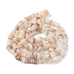 Natural Shell Beads Strands&nbsp;G-F328-45