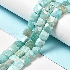 Natural Amazonite Beads Strands&nbsp;G-G980-07