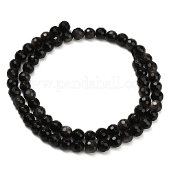 Natural Silver Obsidian Beads Strands&nbsp;G-C280-B08-6mm
