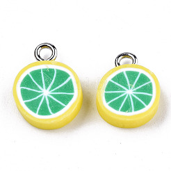 Handmade Polymer Clay Charms&nbsp;X-CLAY-T016-59B