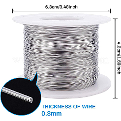 304 Stainless Steel Wire&nbsp;TWIR-WH0002-05-0.3mm