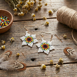 Bohemian Handmade Glass Seed Beads Dangle Earrings&nbsp;IE0673