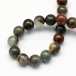 Natural African Bloodstone Beads Strands&nbsp;G-S184-6mm