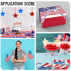 2 Rolls 2 Styles Independence Day Themes Polyester Ribbon&nbsp;OCOR-GF0004-50C