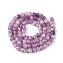 Natural Lepidolite/Purple Mica Stone Beads Strands&nbsp;G-N342-139