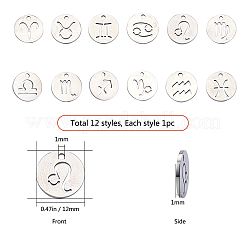 304 Stainless Steel Charms&nbsp;STAS-SC0001-19P