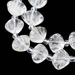 天然グリーンムーンストーンの彫刻ビーズ連売り  シェル形状  シードビーズで  12~13x13~14x4~7mm  穴：0.8~1mm  約26個/連  15.35''（39センチメートル）&nbsp;G-H339-A03-01
