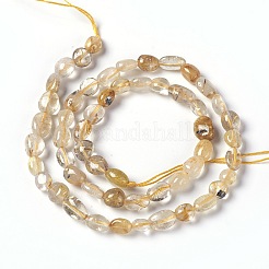 Natural Gold Rutilated Quartz Beads Strands&nbsp;G-L493-15