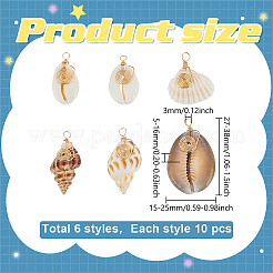 60Pcs 6 Style Natural Shell Pendants&nbsp;PALLOY-ME00019