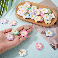 28色のプルメリアの花の不透明樹脂カボション7個  ミックスカラー  29~30x29~30x7~8mm  4個/カラー&nbsp;CRES-TA0001-75