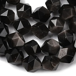 Natural Silver Obsidian Beads Strands&nbsp;G-Z119-A11-03