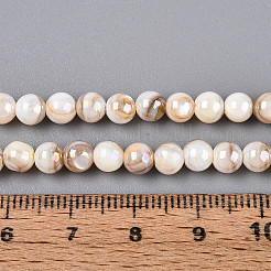 Abカラー天然淡水シェルビーズ連売り  ラウンド  貝殻色  5mm  穴：0.6~0.7mm  約79~80個/連  14.76~15.16''（37.5~38.5センチメートル）&nbsp;BSHE-T014-40B