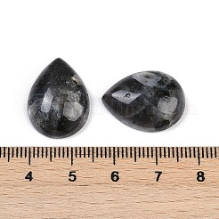 Natural Larvikite Cabochons&nbsp;G-H094-01A-15