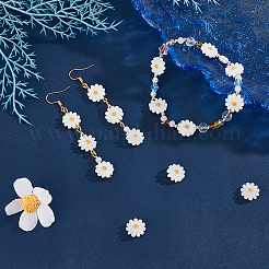 20Pcs Natural Freshwater Shell Beads&nbsp;SHEL-NB0001-65B